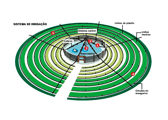 imagem da horta mandala